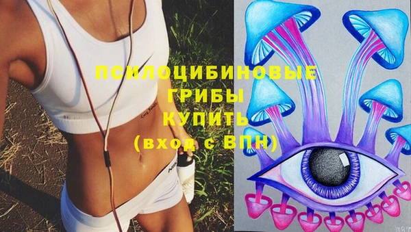 хмурый Алексеевка
